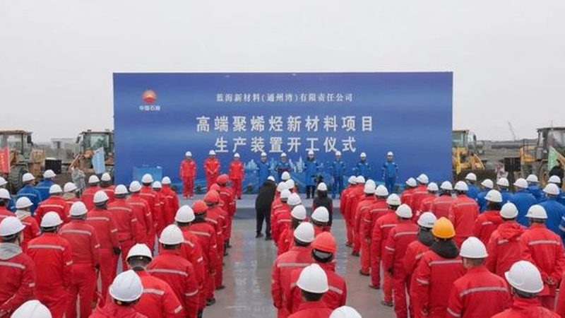 玄色母粒吹膜级价钱剖析：揭秘影响本钱的要害因素