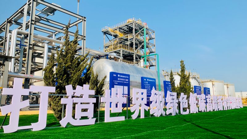 食物级化学助剂：入口与国产的差别化剖析